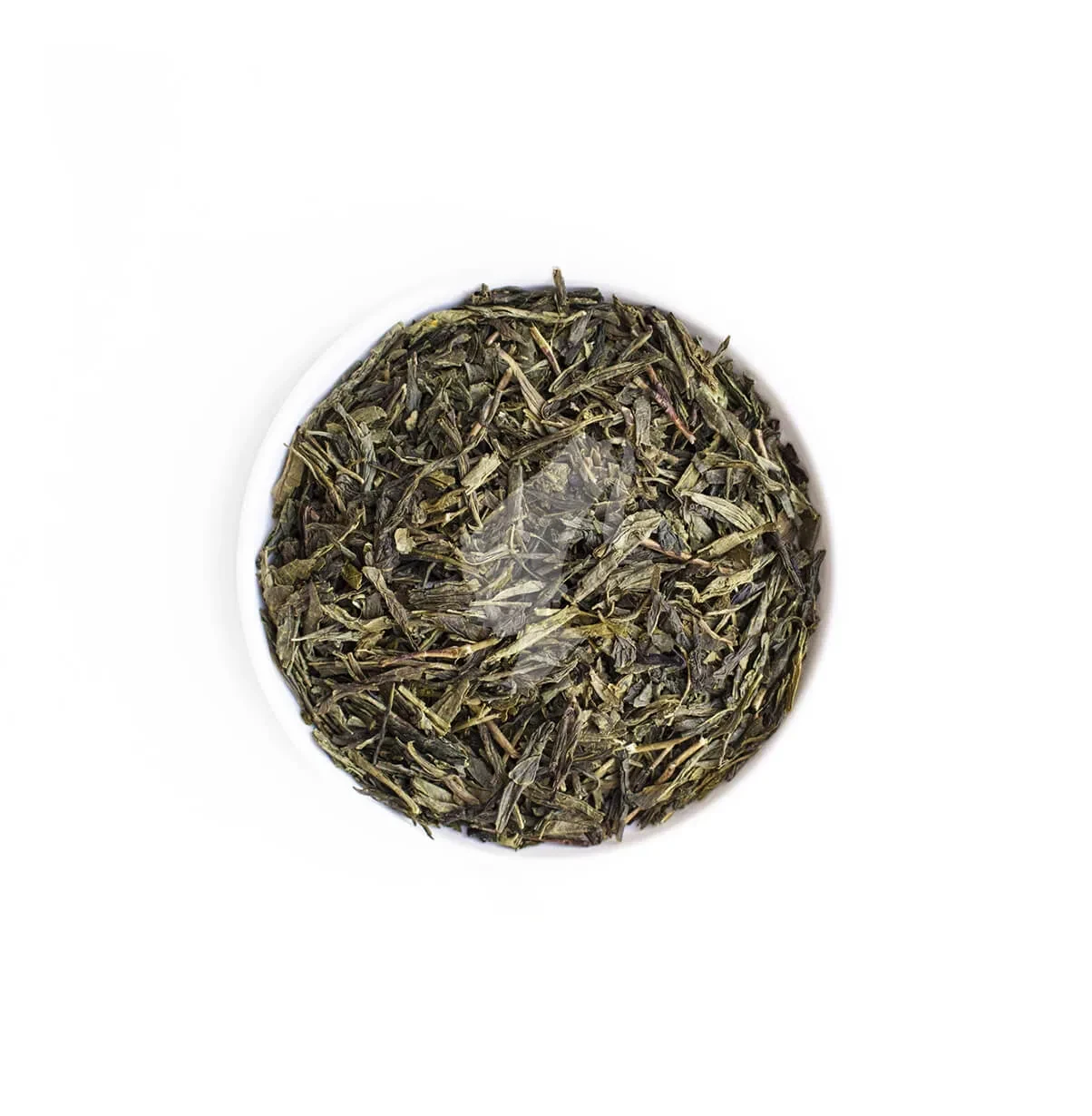 СенчаФото 11